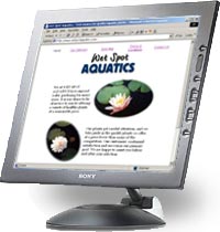 wetspotaquatics.com